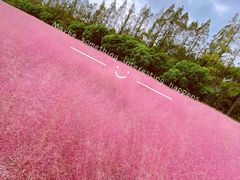 -嘉北郊野公园