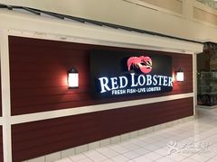 -RED LOBSTER(多伦多DT店)