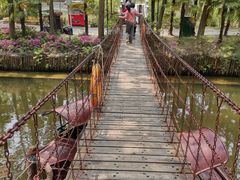 -合肥滨湖国家森林公园