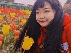 -秀丽东方