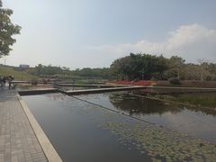 -厦门海湾公园游乐场