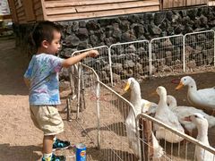 -HERRE·FARM 赫尔露营农场·团建聚会包场