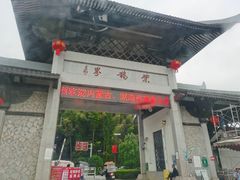 -紫鹊界梯田景区