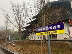 -大唐贡茶院
