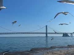 -星海广场