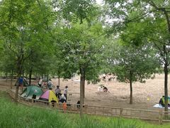 -东郊湿地公园