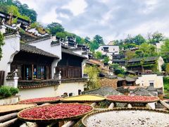 -婺源风景区