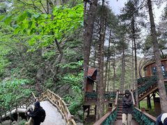 -洛阳白云山景区