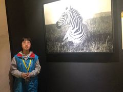 -中华世纪坛