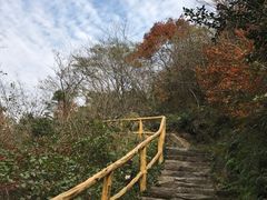 -木兰云雾山