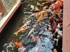 -侠成水上农庄(工业大道店)