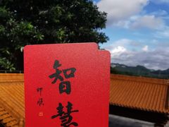 -深圳仙湖植物园