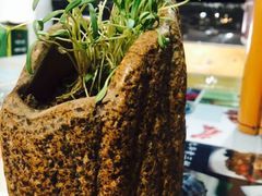 -九华山友谊土菜馆 小资餐厅