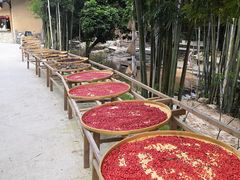 -世间香境·七溪地