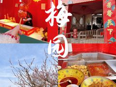 -无锡梅园公园