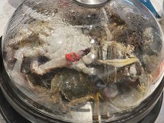 -半岛听涛蒸汽海鲜自助(K11店)