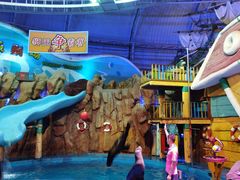 -烟台海昌鲸鲨海洋公园