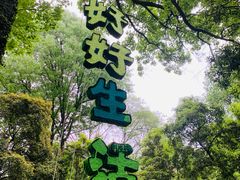 -杭州植物园