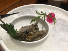 土笋冻-临家闽南菜(大唐店)