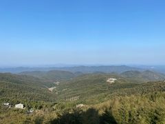 -蔡伦竹海