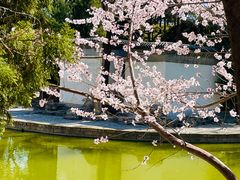 -团结湖公园