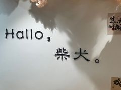 -南京Hallo宠物乐园·哈罗犬舍·柴犬繁育基地