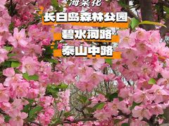 -长白岛森林公园