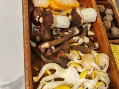 -菌小白·野生菌火锅(时尚天河店)
