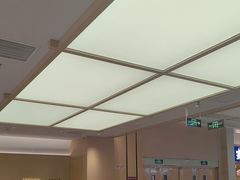 -阳阳中国饭(龙湖大兴天街)