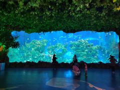 -芜湖新华联大白鲸海洋公园