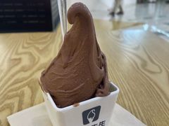 -野人先生Gelato(上海长宁龙之梦店)