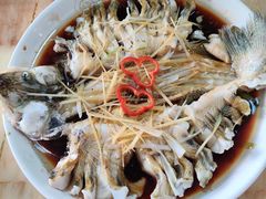 -煲来饱去冷水鱼