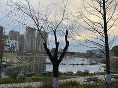 -宁波儿童公园(鄞州区)