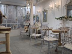 大堂-共舞时光猫咖·狗咖(新街口店)