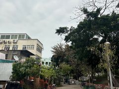 -大澳