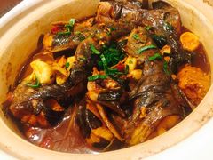 昂刺鱼-双东酒店(东关街店)