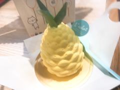 旺财凤梨-狗年春节限定-台灣光芒手作(万安街店)