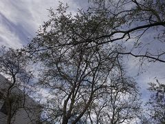android_upload_pic-辽宁大学(崇山校区)