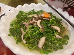 -瑶乡油茶(凤翔店)