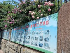 -山东省青岛第六十二中学