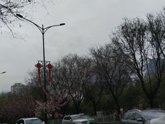 -陕西自然博物馆