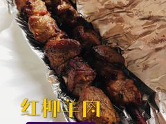 -巴依老爷新疆美食(工体旗舰店)