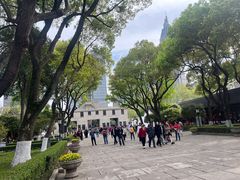 -灵谷景区