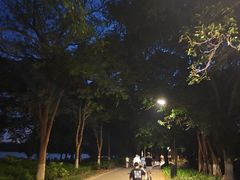 -海珠湖公园