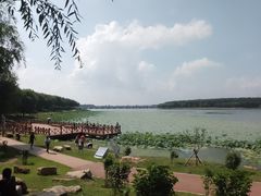 -丁香湖公园