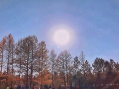 -塞罕坝国家级自然保护区