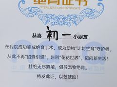 -纳吉亚猫专科动物诊疗中心(蒋宅口分院)