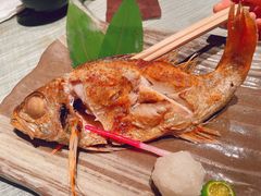 红睦鱼-炉匠炉端烧·酒(国金中心商场店)