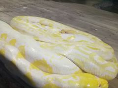 -石家庄市动物园