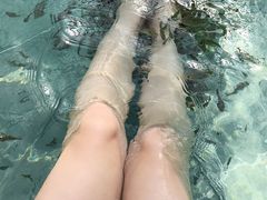 -大盘山温泉山庄